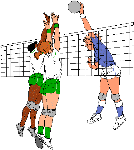 [voleibol.gif]