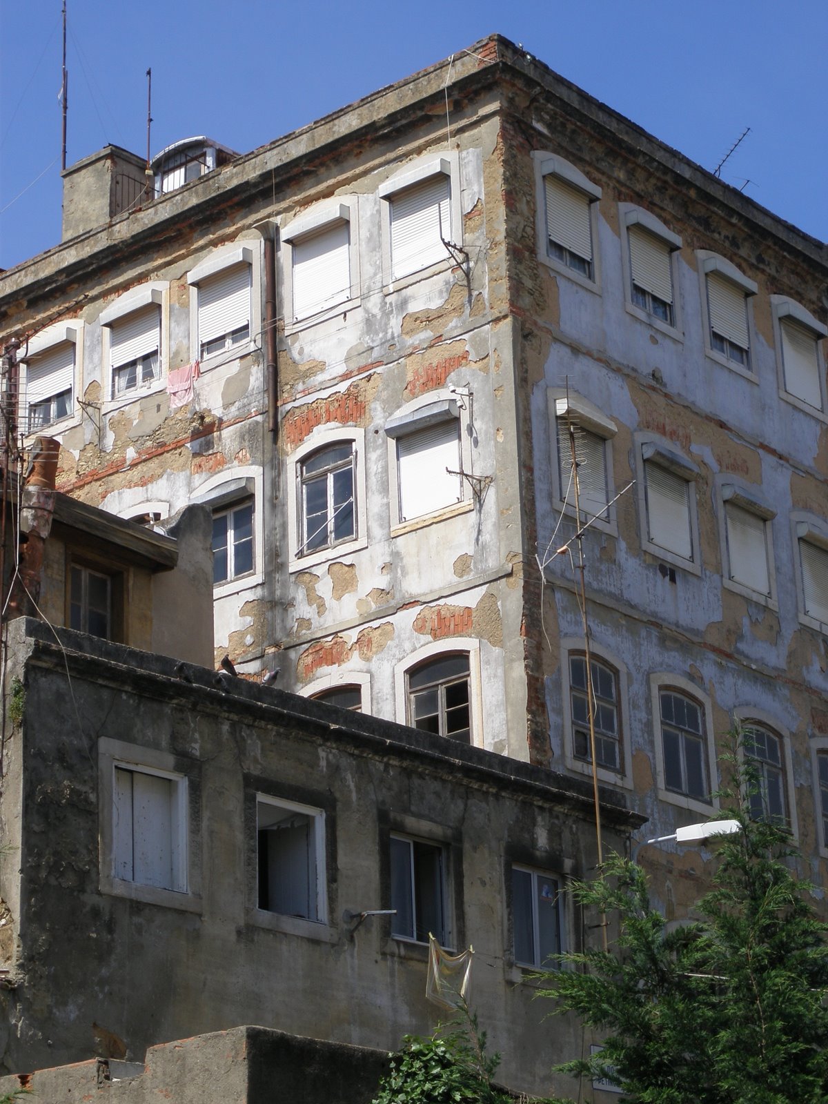 [P4050125.JPG]
