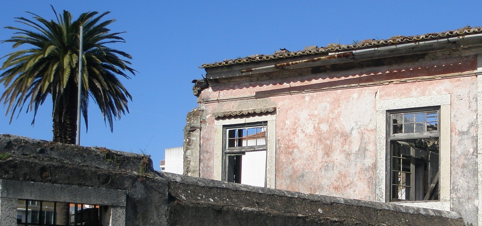 [P3080073.JPG]