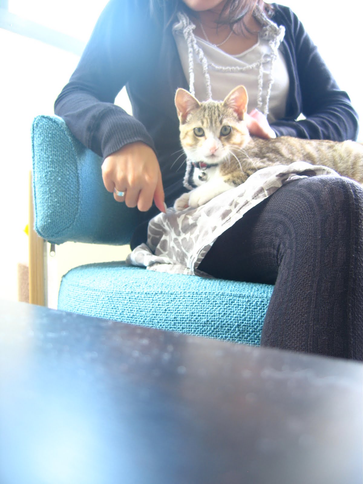 [IMG_0736.JPG]