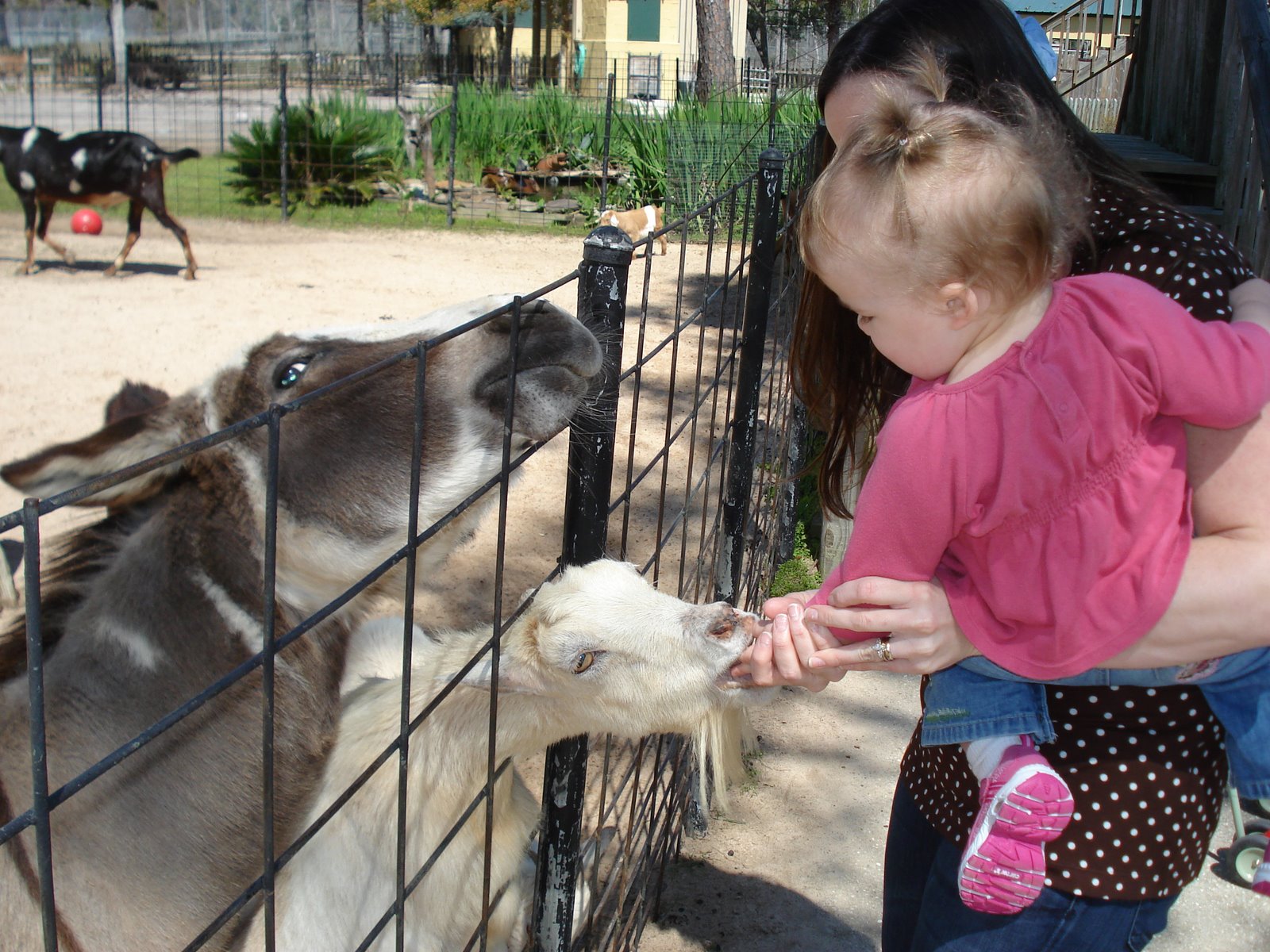 [DSC06704.JPG]
