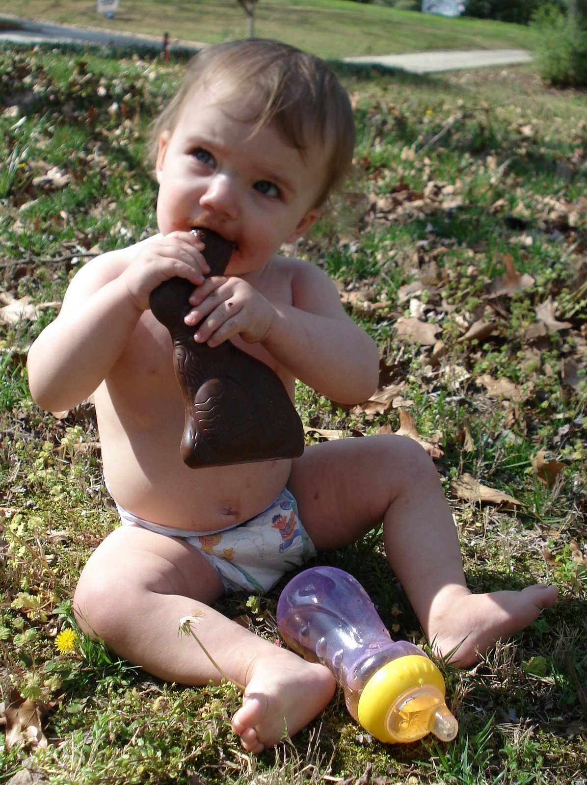 [ChocoBunny.JPG]