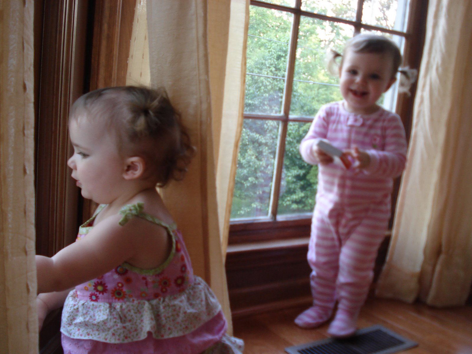 [DSC07433.JPG]