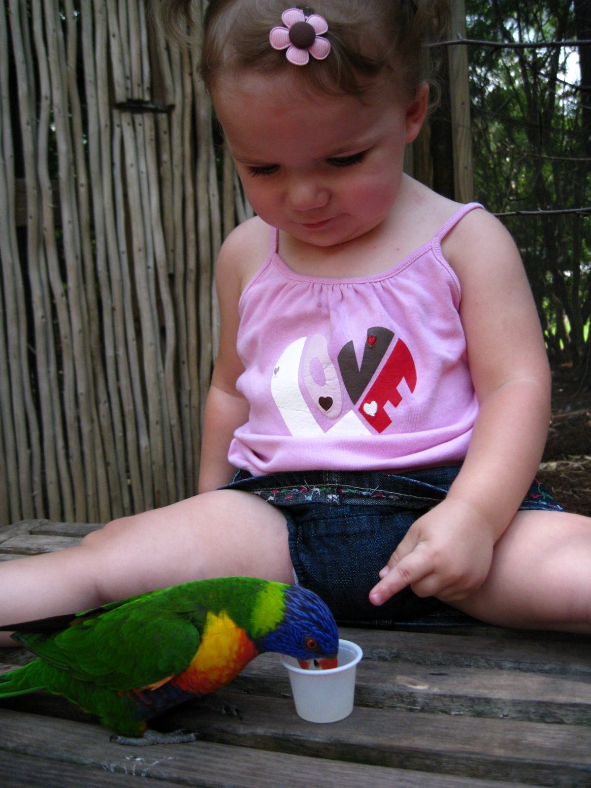 [IMG_1214.JPG]