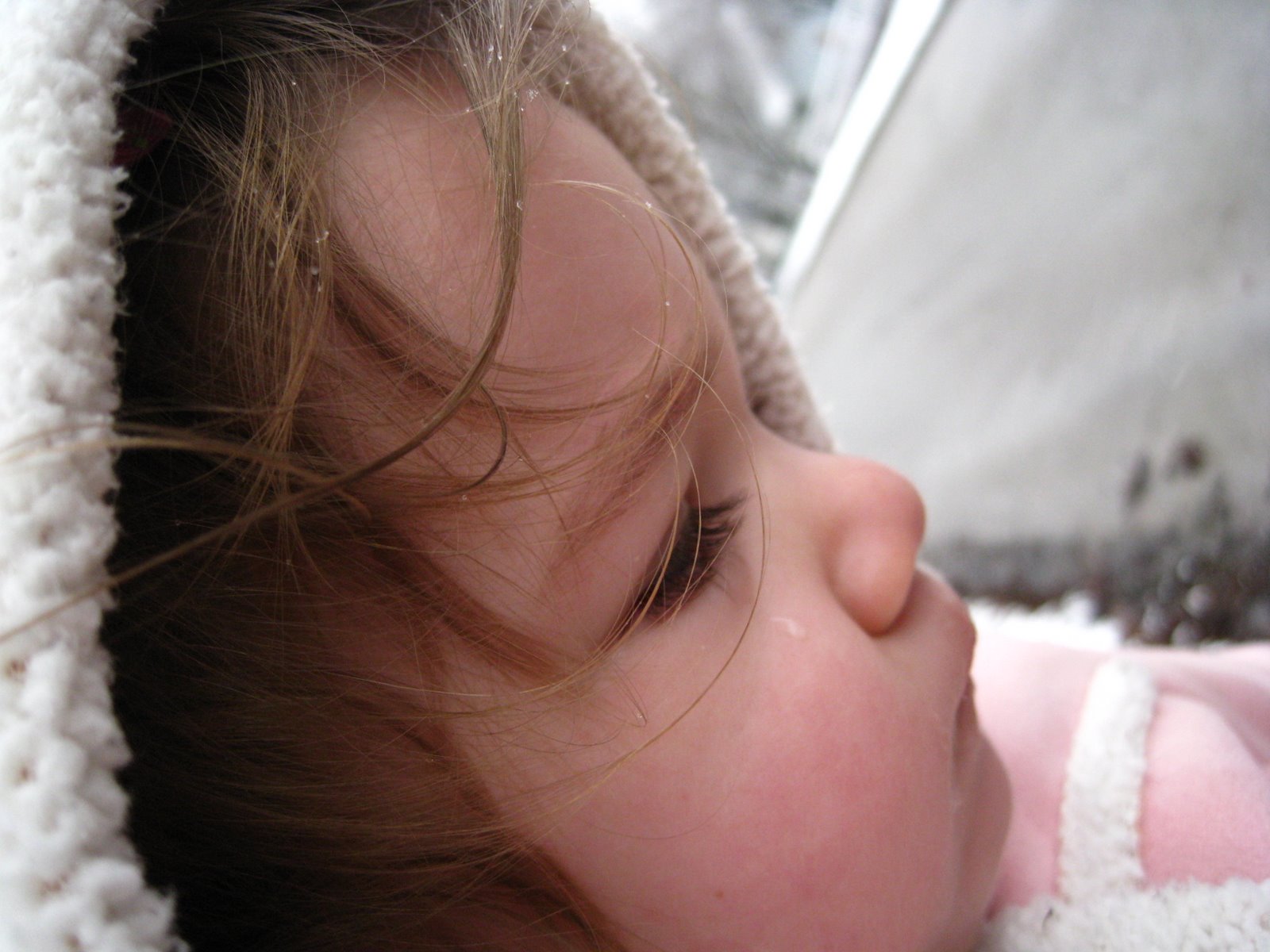 [IMG_7833.JPG]