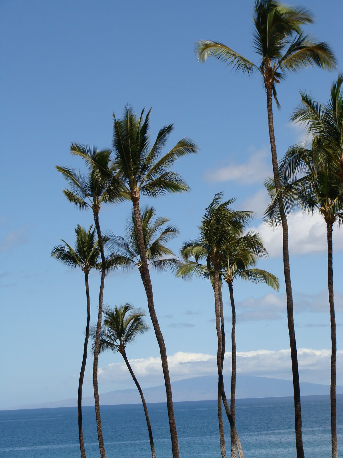 Hawaiian+hairstyles+for+women