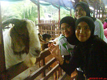 POSE WIF KAMBING...MBEKKKK..