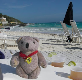 The travelling bear goes further than most - looking after the towels