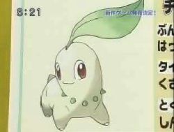 [chikorita.jpg]