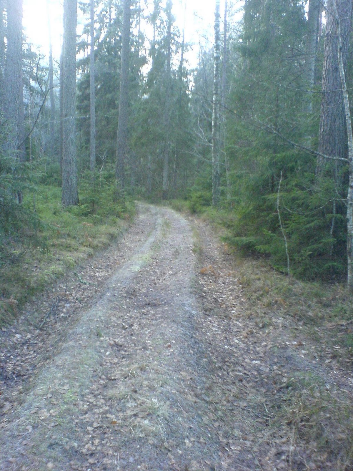 [DSC00390.JPG]