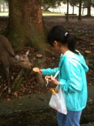 [IMG_1106_256.jpg]
