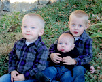 B1,B2, and B3