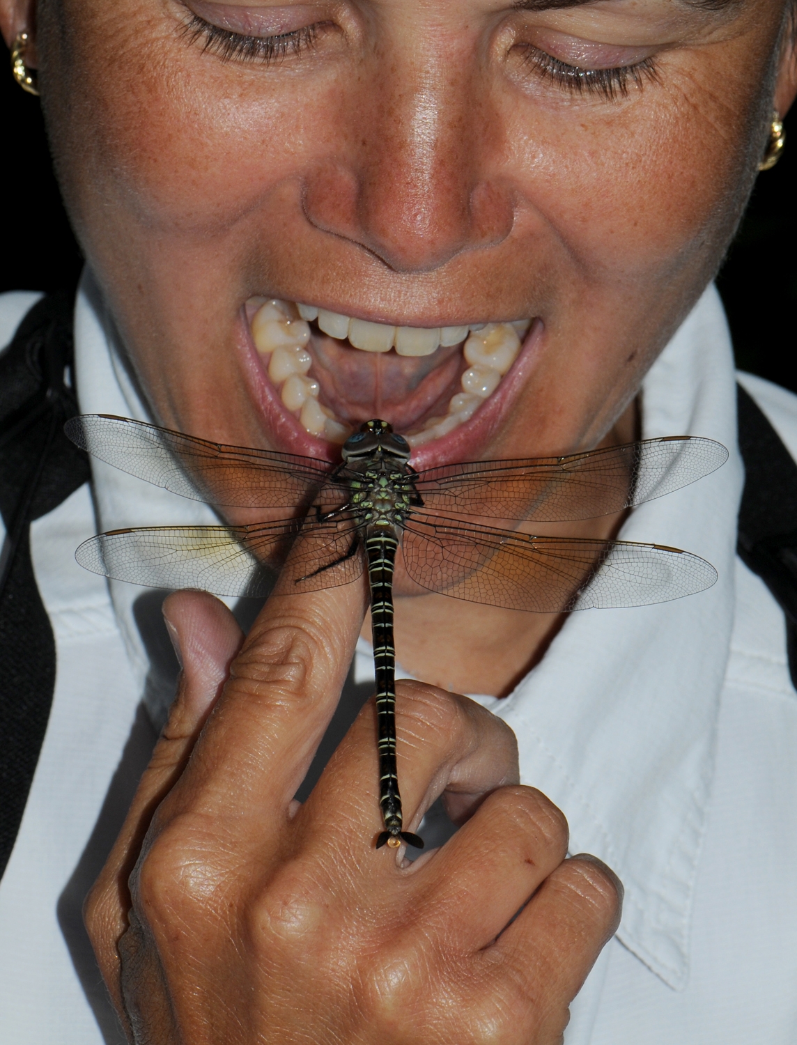 dragonfly bite