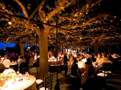 We love the twinkle lights above the orchard