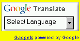 google translate