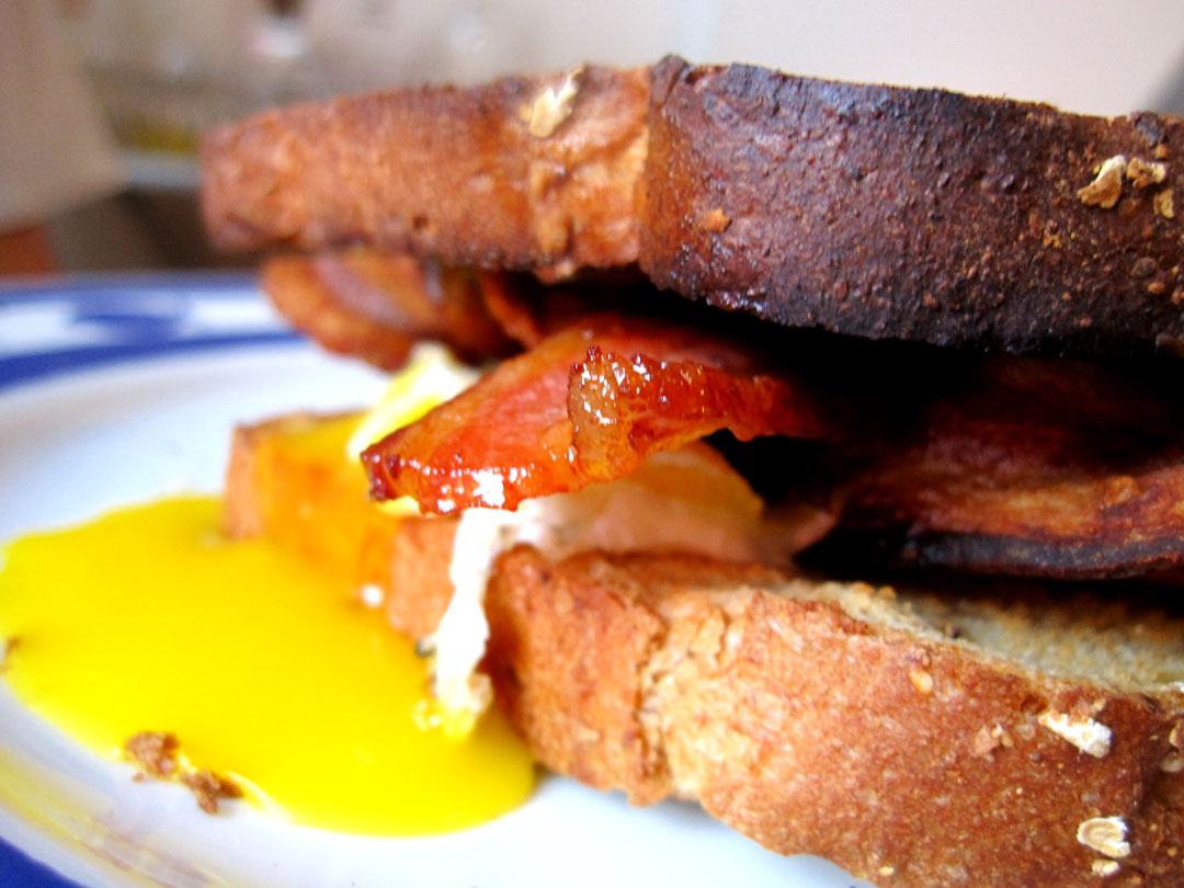 All Bacon Sandwich