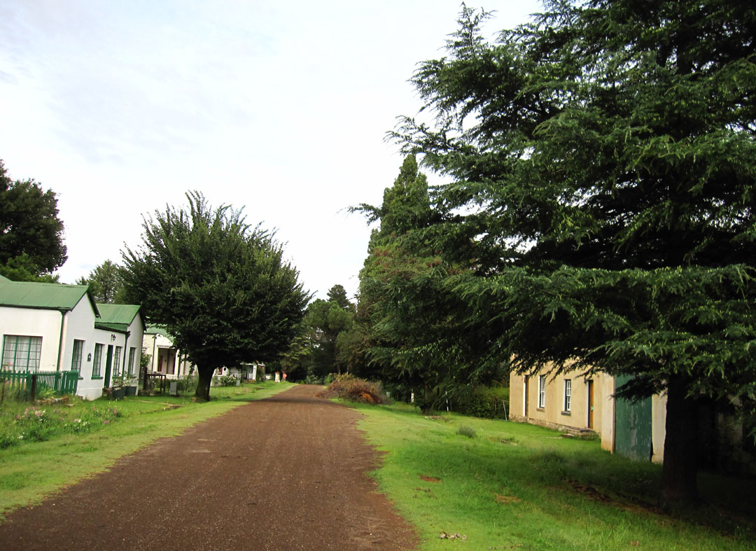 66 Square Feet (Plus) Mountain Zebra National Park