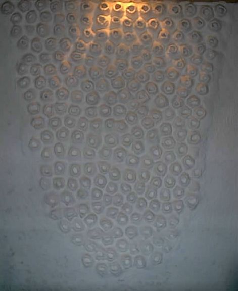[IM000485.JPG]