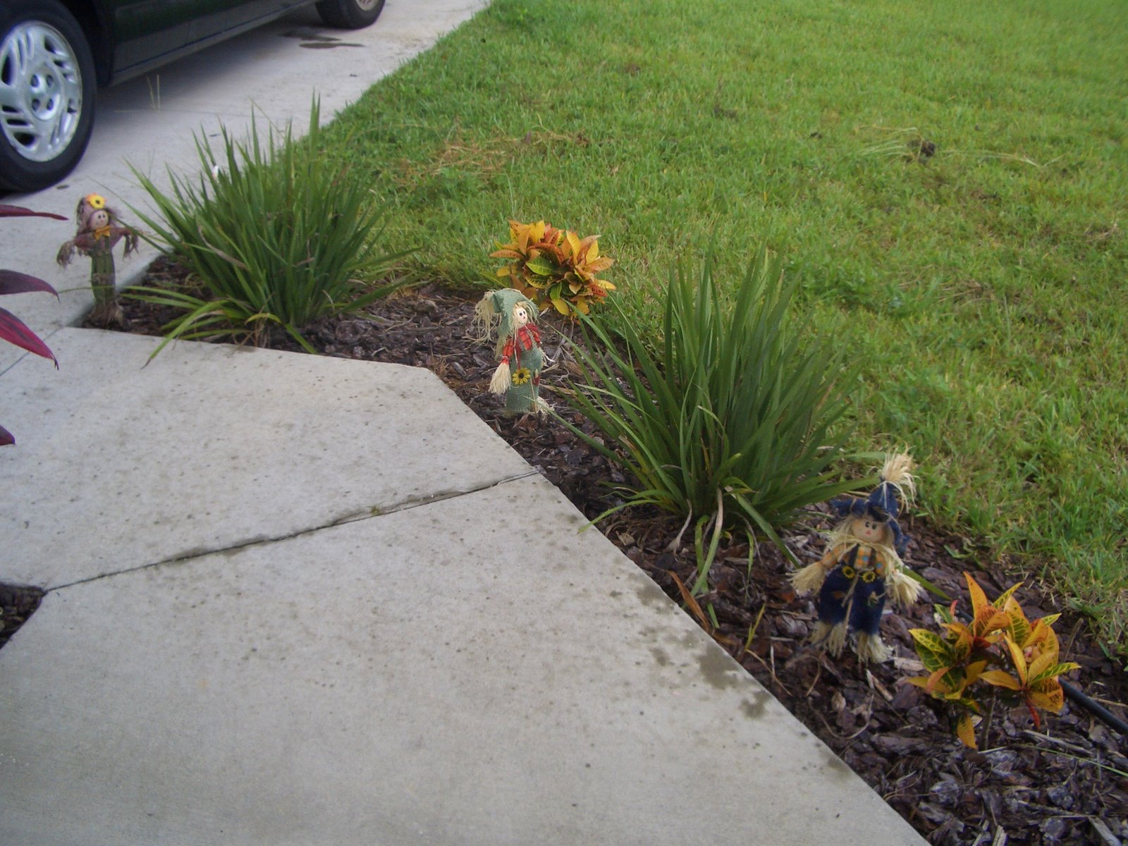 [scarecrow2-2007.jpg]