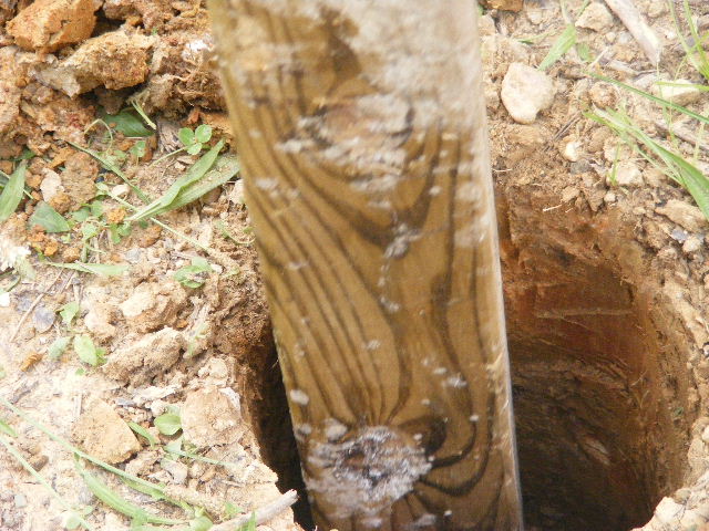 [DSCF0254.JPG]