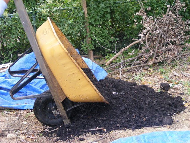[DSCF0228.JPG]