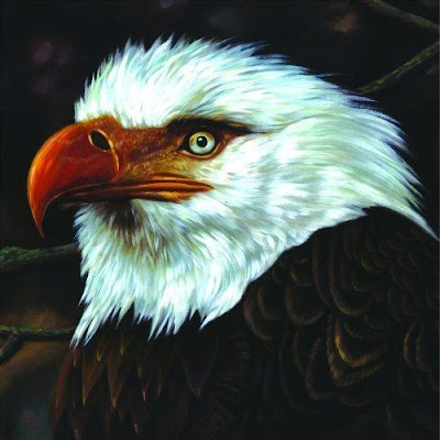 The Hawk is Howling The Hawk is Howling