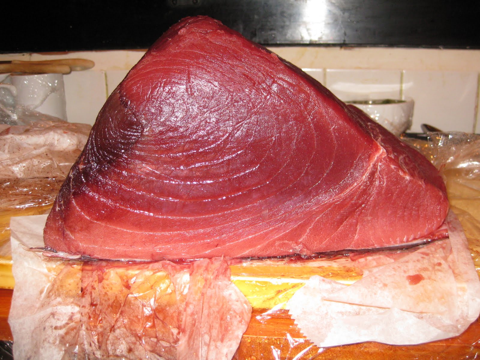 Big Eyed Tuna