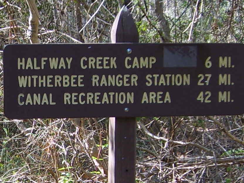 Leadwing On The Trail January 2011