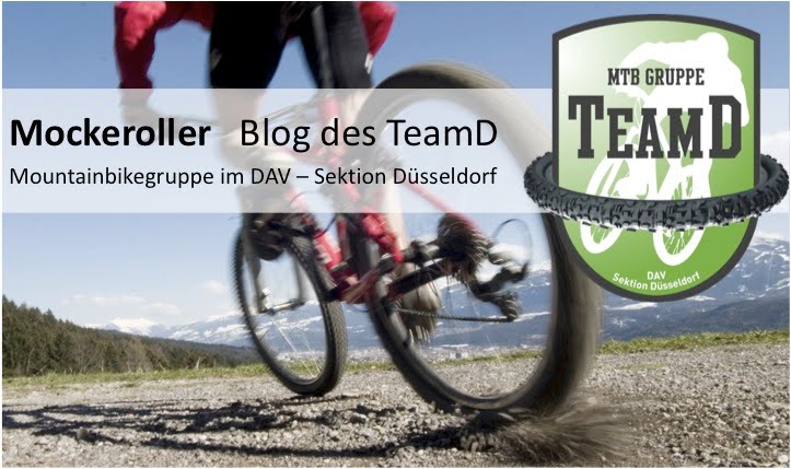 TeamD