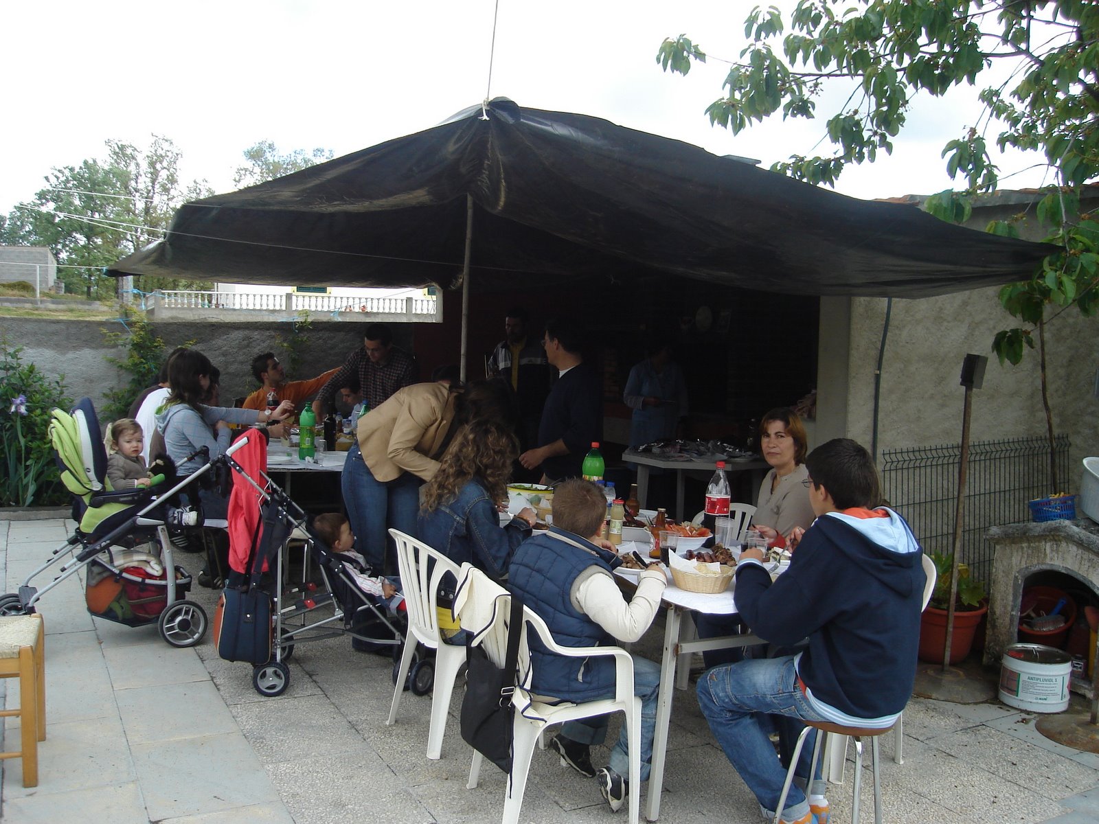 [DSC01806.JPG]