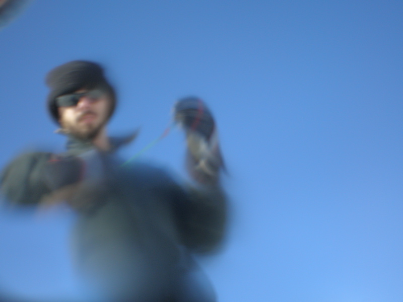 [Bundle+of+Myrrh+-+10.jpg]