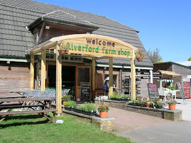 sun shines on Riverford at Kitley