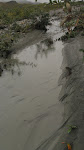 Riverbed near Toklat, Denali National Park