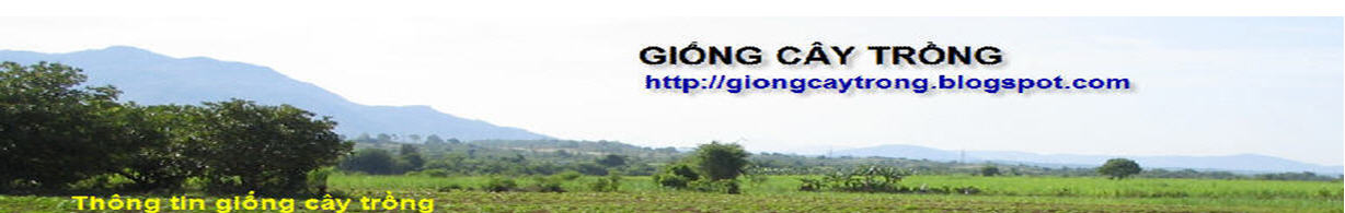 Giống cây trồng