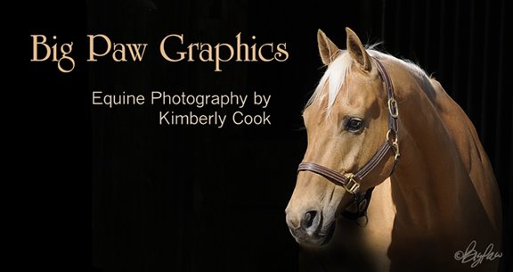 Equine traces
