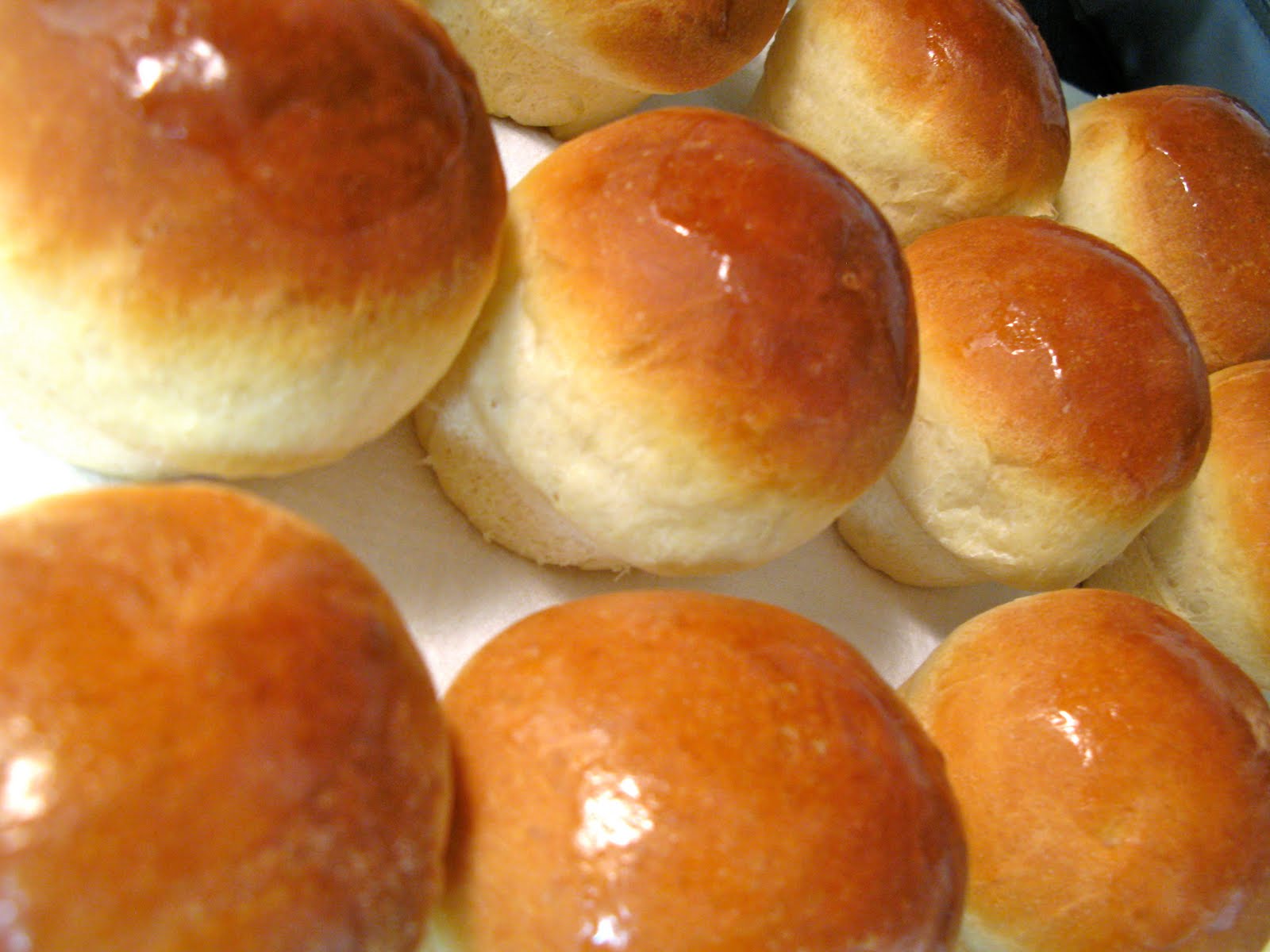 Delicious Delicious Dinner Rolls