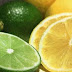 Propiedades de el Limon