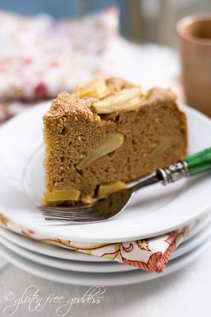 Gluten free apple cake recipe made with coconut flour