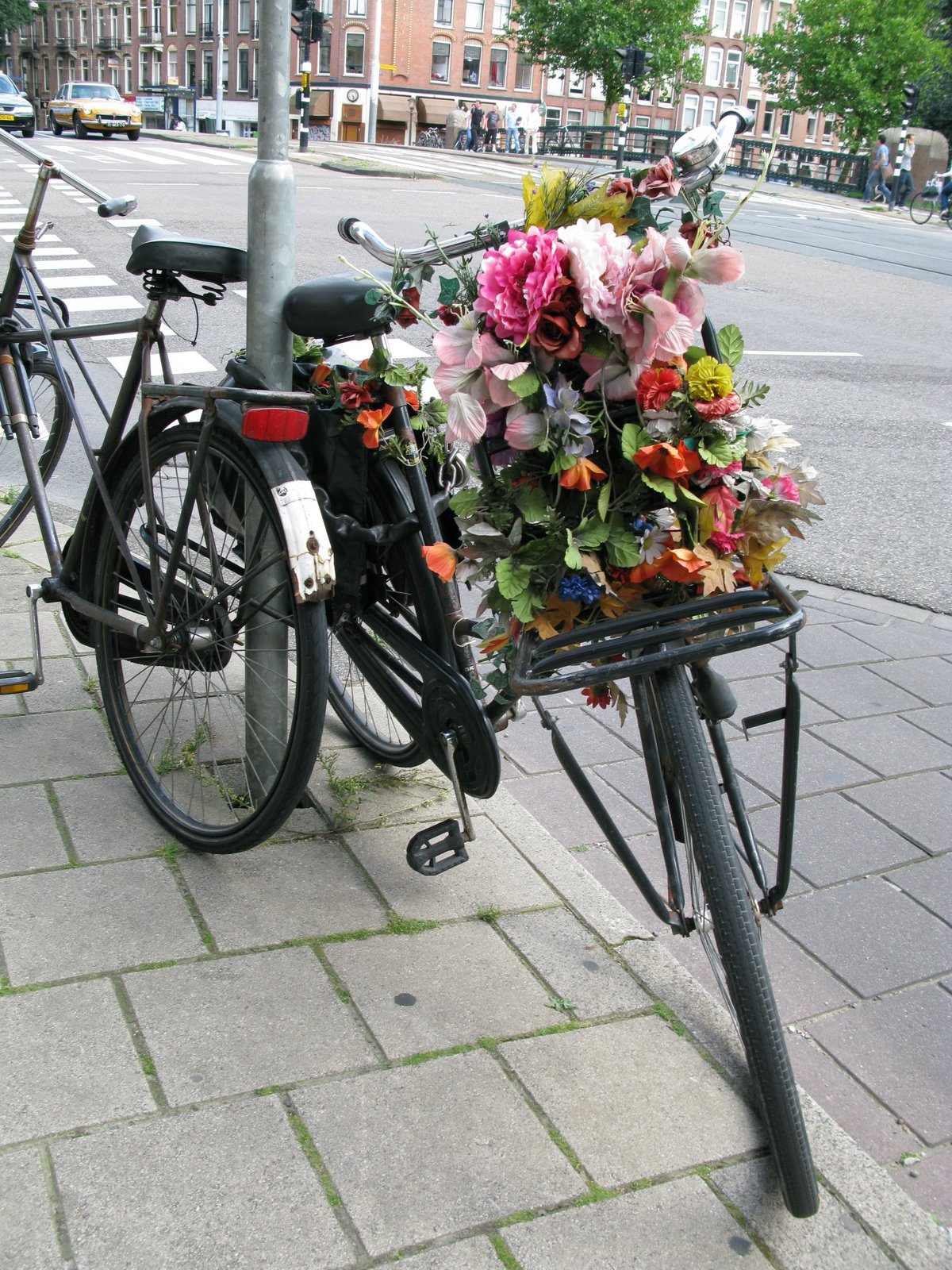 [IMG_0526.JPG]