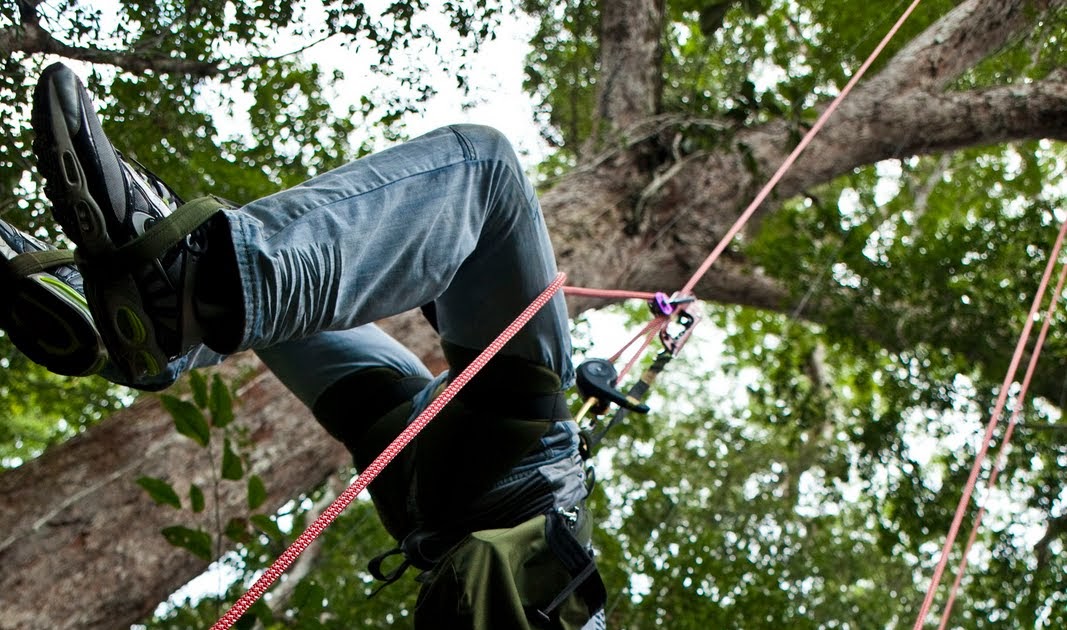BGrange Photography Amazon Tree Climbing