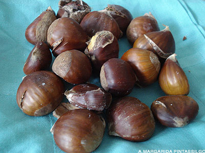 [castanhas.jpg]