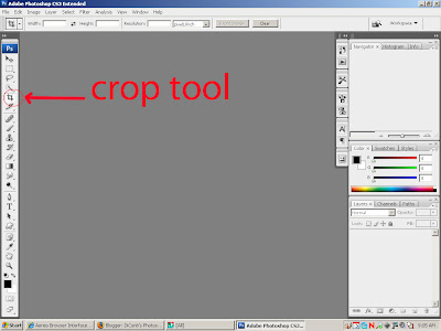 crop-tool.jpg