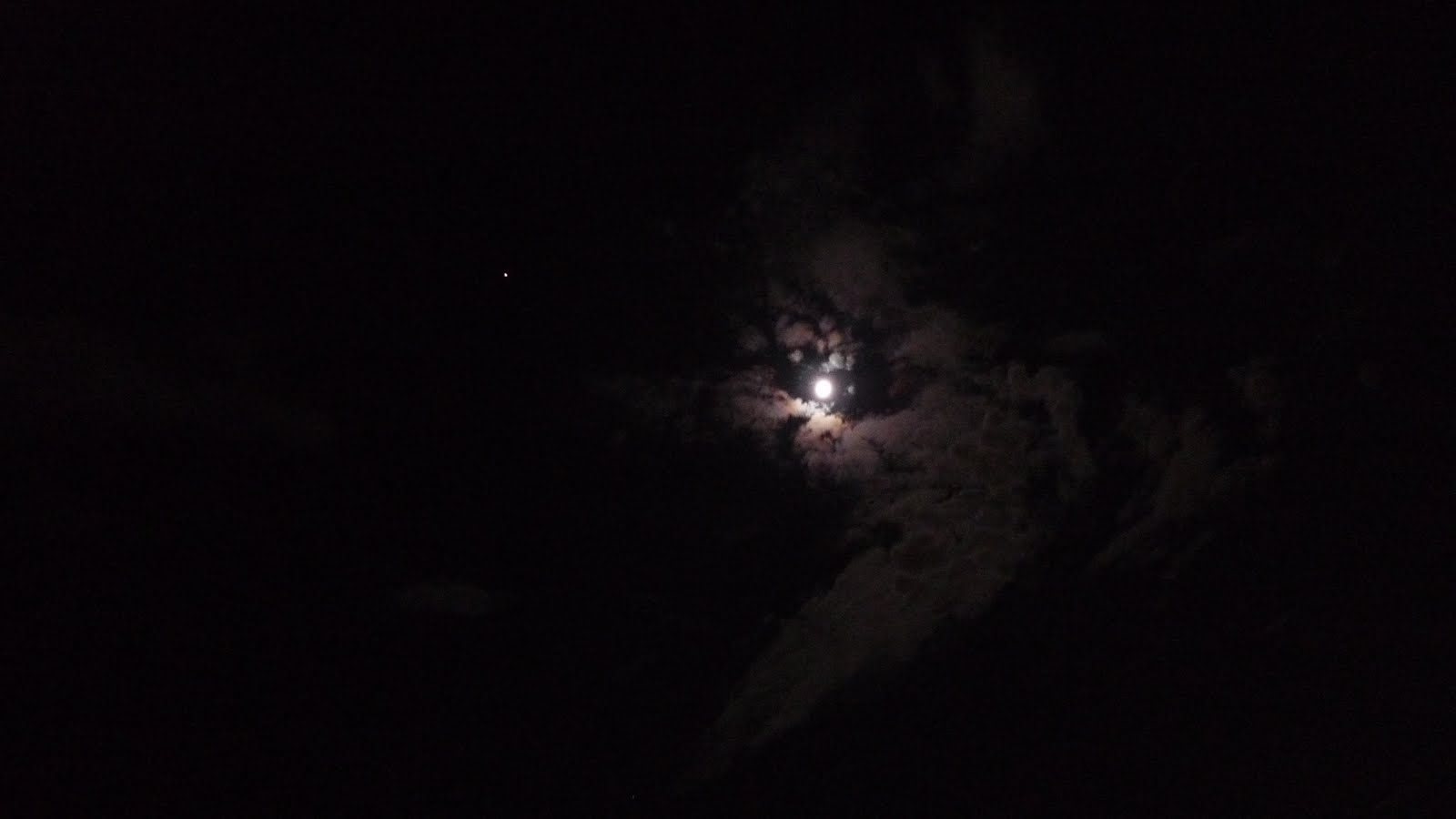 枯樹上嫩葉 月亮與木星照