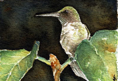watercolor hummingbird painting