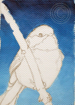Chickadee Bird