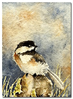 hummingbird watercolour painting