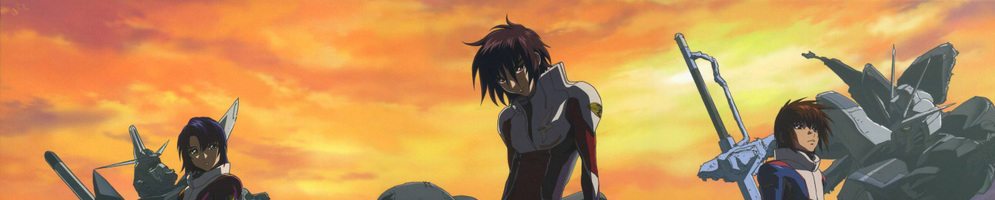 Gundam Seed Destiny Anime Collection