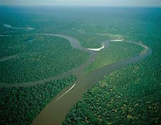 Amazon Rain Forest - the bigger forest of the world - Brazil