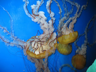 Teacher Nomad Happy Birthday Trip For Sean