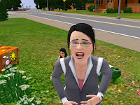 Guardar Unidad Domestica Sims 3